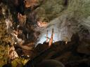 Long view in the Big Room of Carlsbad Caverns