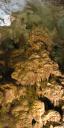 Panoramic image of a Stalagmite